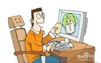 食品流通中的主體及其在互聯(lián)網銷售中的角色