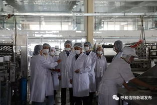 新城區(qū)市場監(jiān)督管理局開展食品生產(chǎn)廠專項檢查，筑牢餐飲安全防線